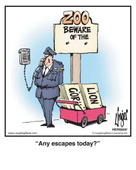 Any escapes today?