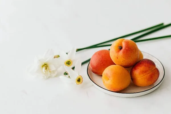 Apricot Sugar - Premium Fragrance Oil